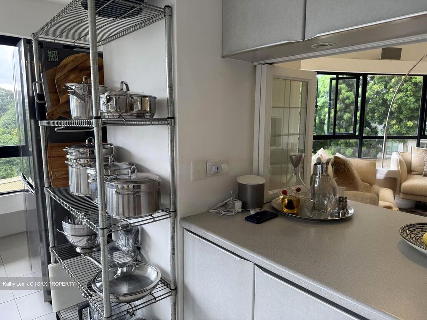 The Draycott (D10), Apartment #538339541
